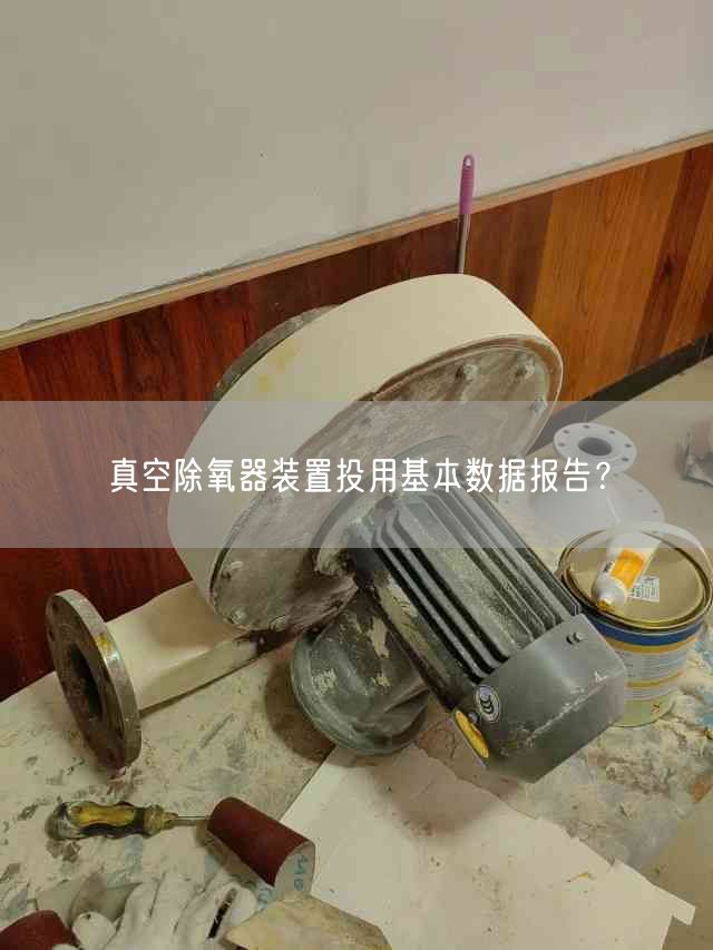 真空除氧器装置投用基本数据报告？