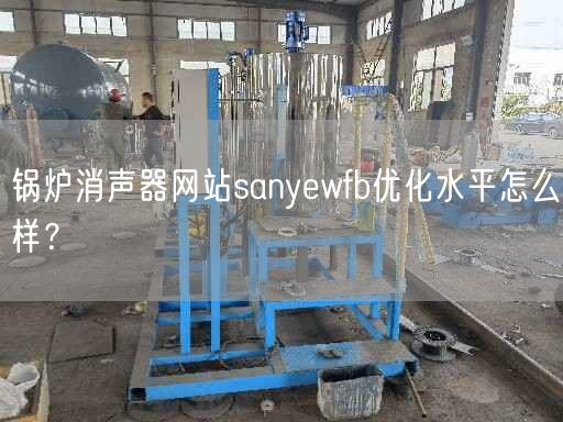 锅炉消声器网站sanyewfb优化水平怎么样？