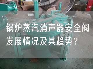 锅炉蒸汽消声器安全阀发展情况及其趋势？