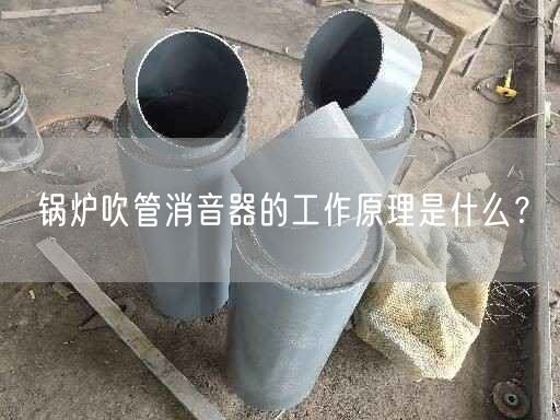 锅炉吹管消音器的工作原理是什么？